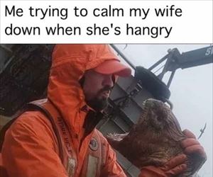 trying to calm my wife