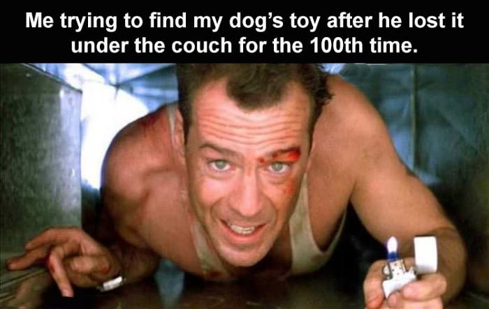 trying to find a dogs toy