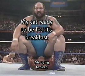 trying to sleep ... 2