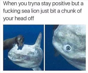 trying to stay positive ... 2