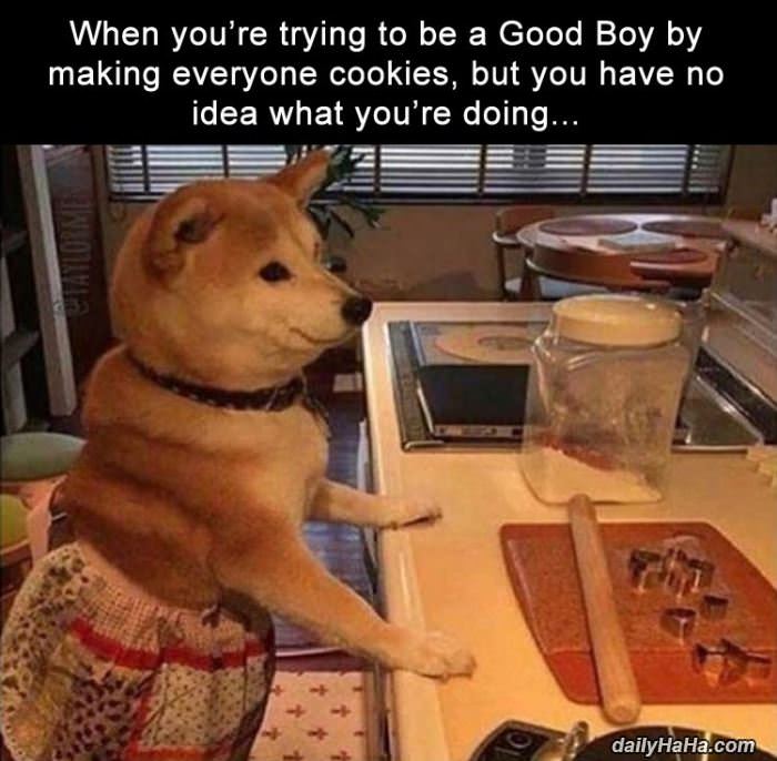 trying to be a good boy funny picture