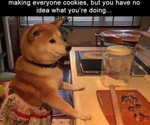 trying to be a good boy funny picture