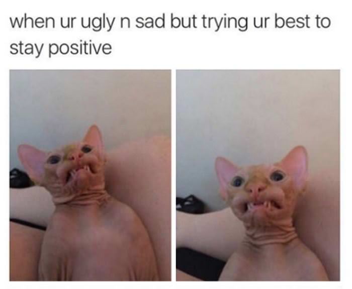 trying to stay positive funny picture