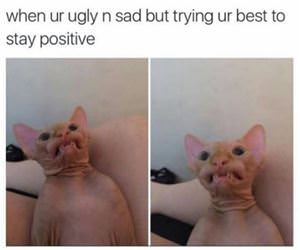 trying to stay positive funny picture