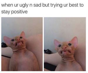 trying to stay positive funny picture