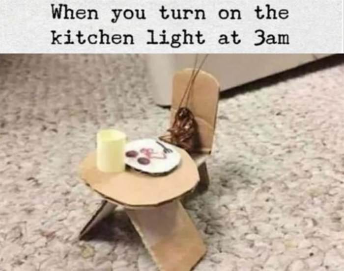 turn on the kitchen light
