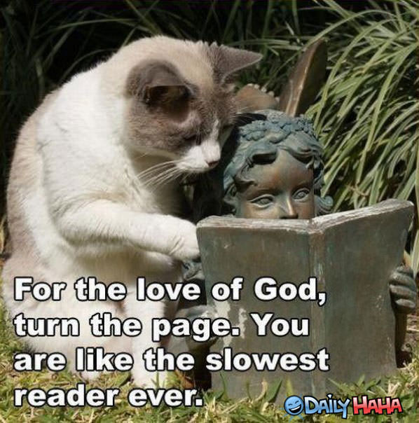 Turn the Page funny picture