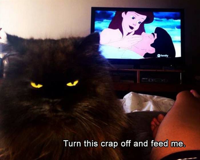 turn this off and feed me