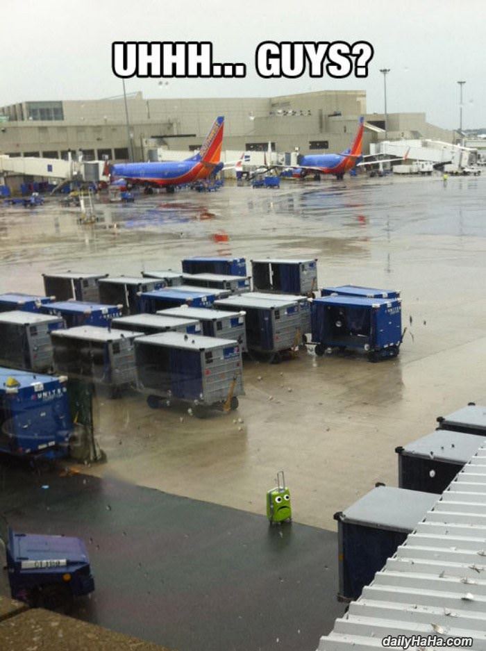 uhhh guys funny picture