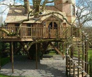Awesome Tree House funny picture