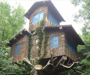 ultimate tree house