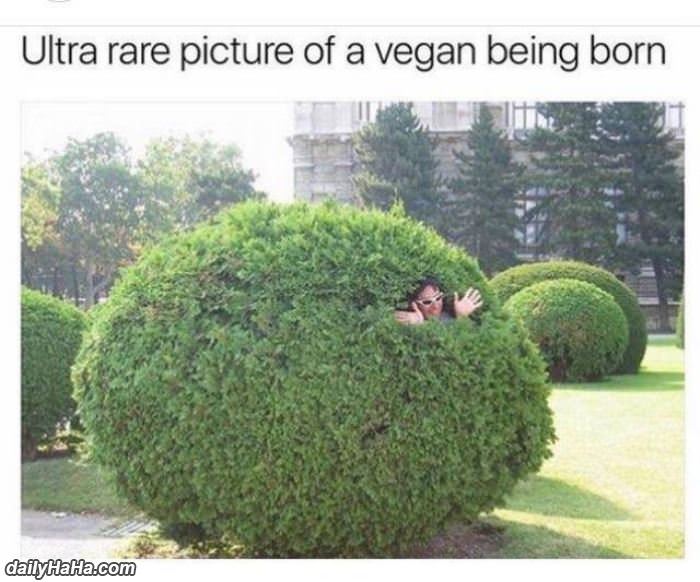 ultra rare vegan birth photo funny picture