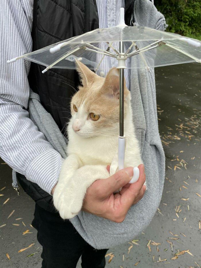 under the umbrella