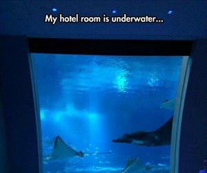 under water hotel room