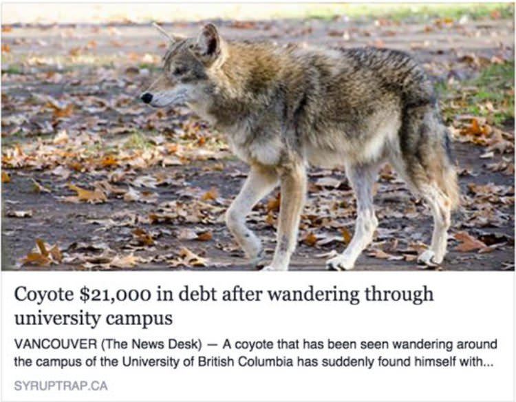 university campus debt funny picture
