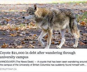 university campus debt funny picture