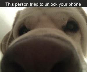 unlocked your phone