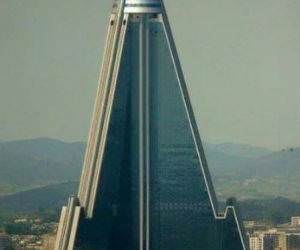 useless funny picture