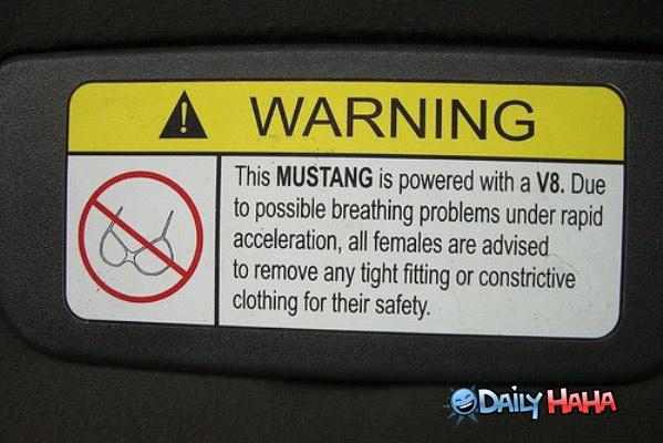 V8 Mustang funny picture