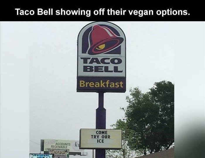 vegan options ... 2
