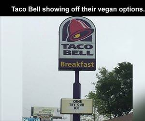 vegan options ... 2