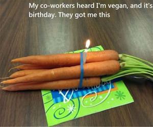 vegan birthday funny picture