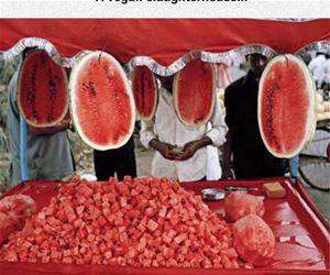 vegan slaughterhouse funny picture