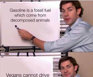 vegans cannot drive