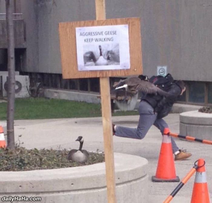 very aggressive funny picture