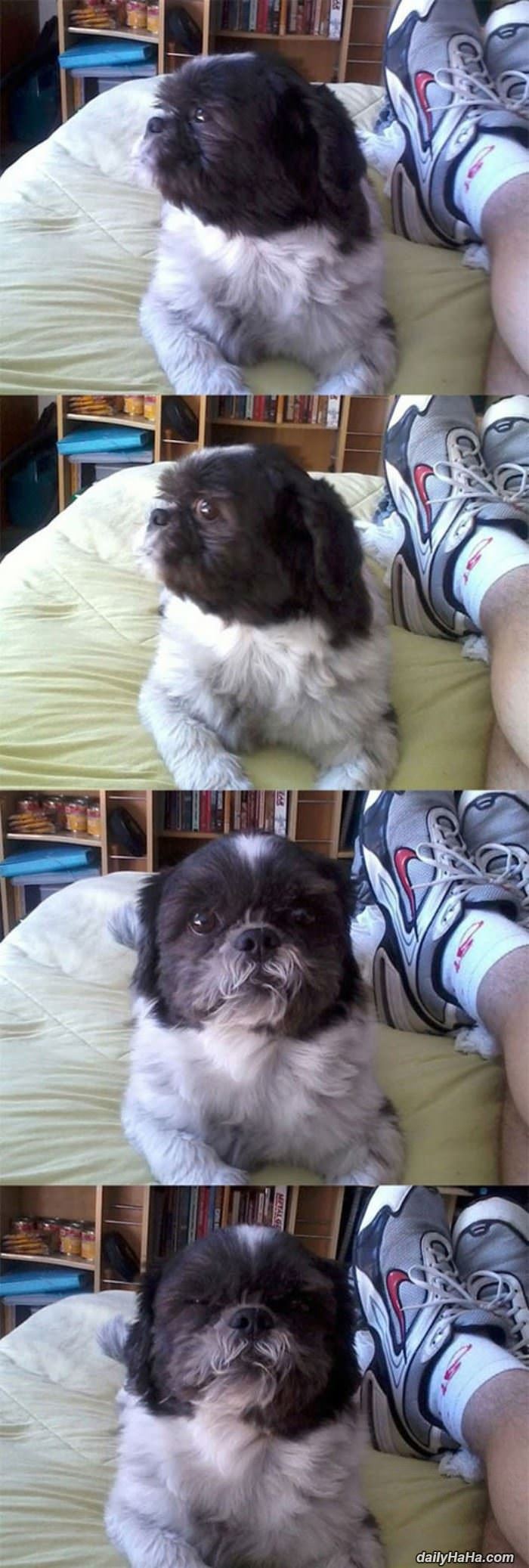 very suspicious funny picture