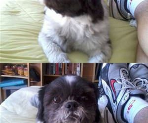 very suspicious funny picture