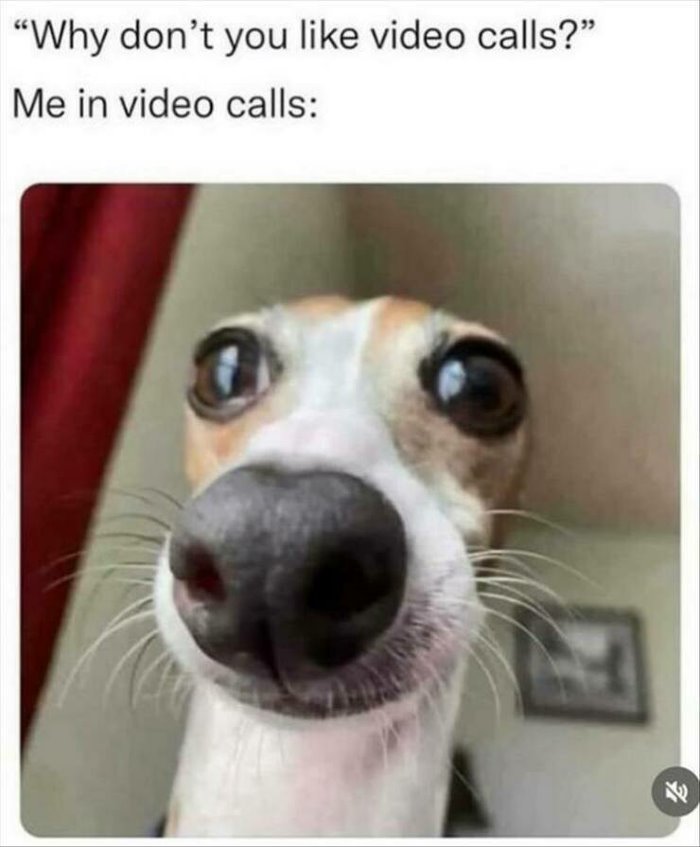 video calls ... 2