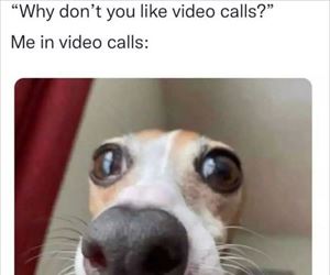 video calls