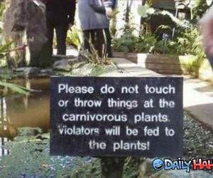 Violaters Will Be Fed funny picture