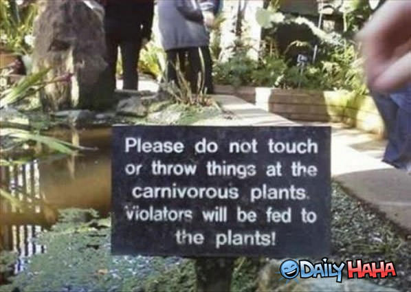 Violaters Will Be Fed funny picture