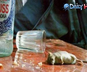 Vodka Mouse