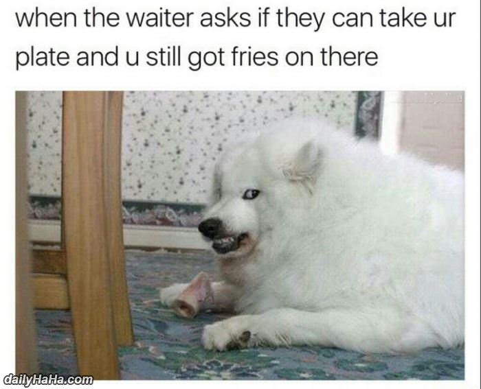 can take your plate funny picture