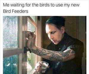 waiting for the birds ... 2