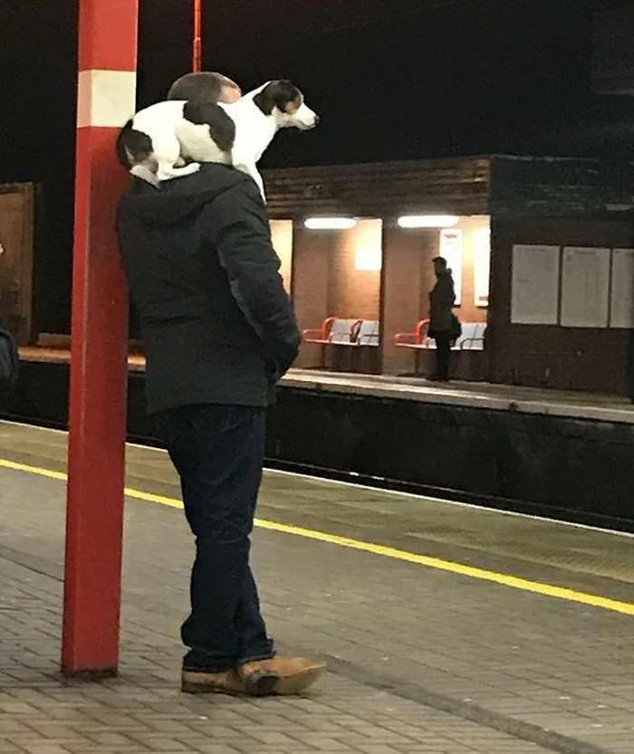 waiting for the train together