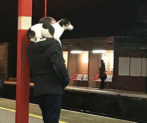 waiting for the train together