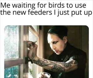 waiting on the birds