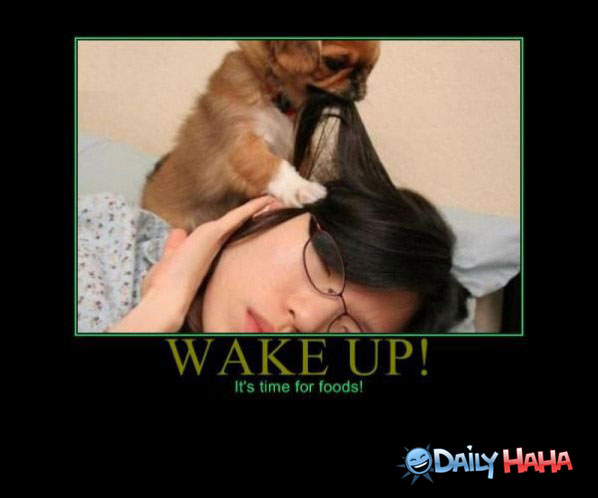 Wakey Wakey funny picture