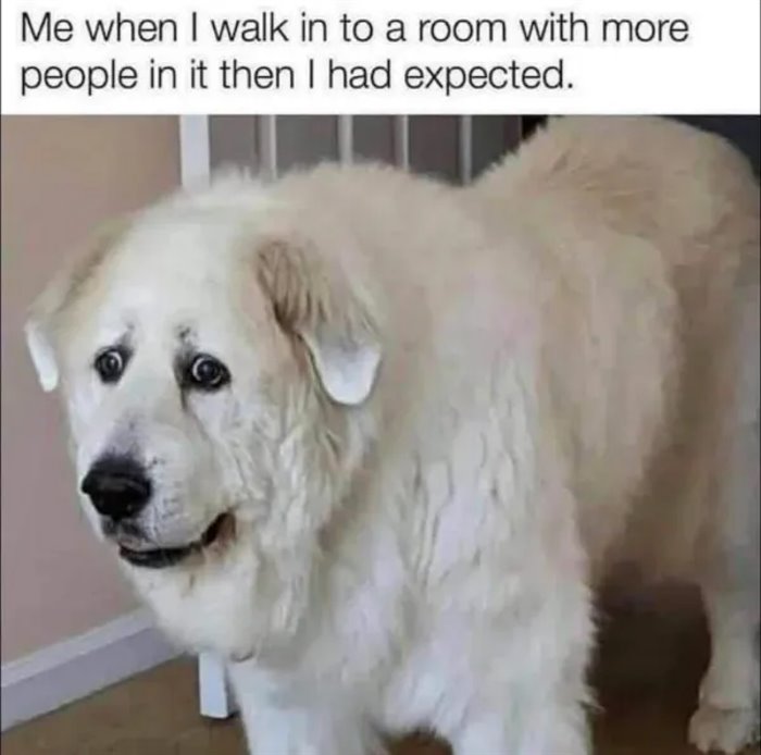 walk into a room ... 2