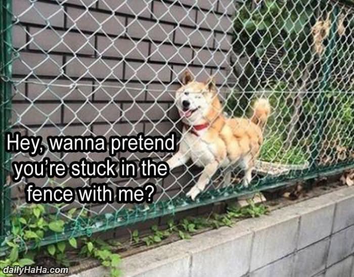 want to pretend funny picture