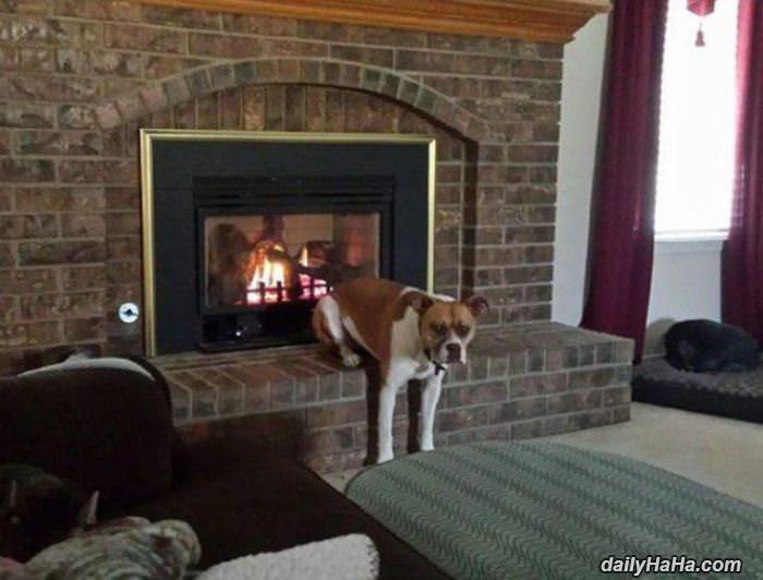 warming up my butt funny picture