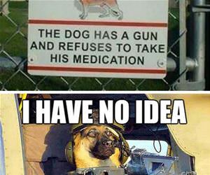 warning about the dog funny picture