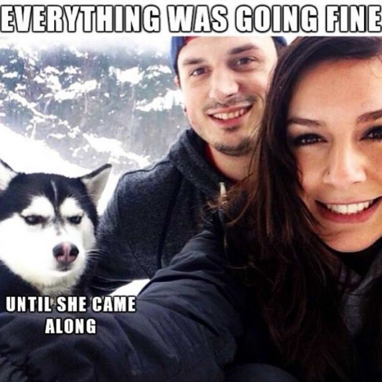 was going fine funny picture