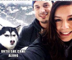 was going fine funny picture