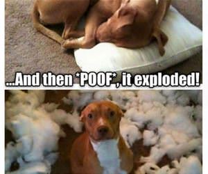 was just minding my own business funny picture