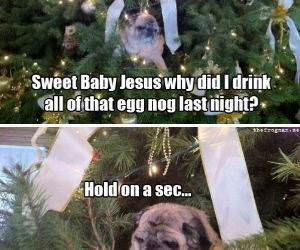 Wasted Christmas funny picture